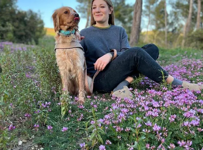 Bed & Breakfast Casale 700 Amendolara